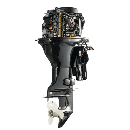 Мотор лодочный PARSUN F100FEL-T EFI