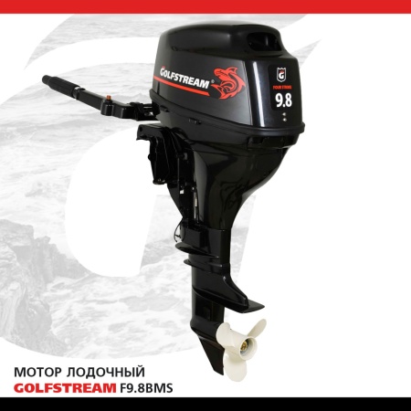 GOLFSTREAM F 9.8 ВМS