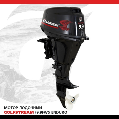 GOLFSTREAM F 9.9 AFWS-EFI ENDURO (PARSUN-PRO)