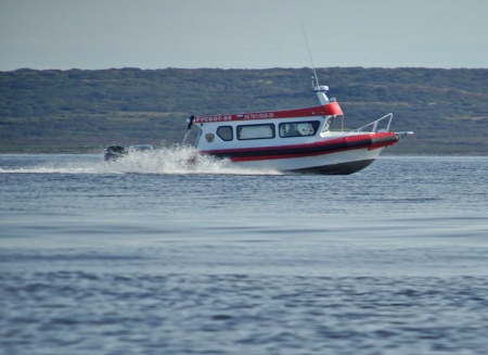 РУСБОТ‑95/20