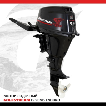GOLFSTREAM F 9.9 АBMS ENDURO (PARSUN-PRO)