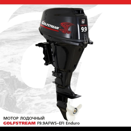 GOLFSTREAM F 9.9 AFWS-EFI ENDURO (PARSUN-PRO)